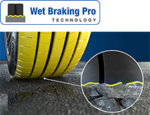 Wet Braking Pro Technology